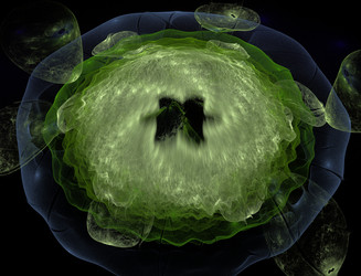 Similar image 22197911