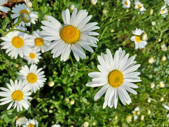 Similar image 22194976