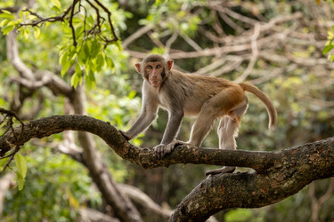 Similar image 22199627