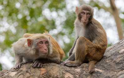 Similar image 22199632