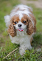 Similar image 22199638