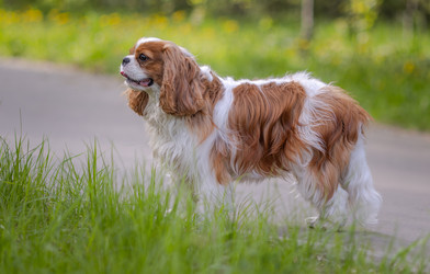 Similar image 22199639