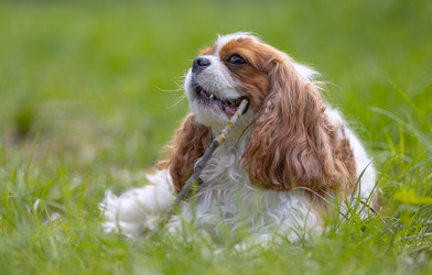 Similar image 22199640