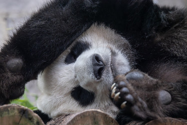 Similar image 22199650