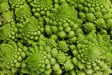 Similar image 22199656