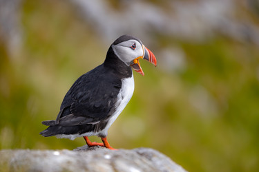 Similar image 22199673