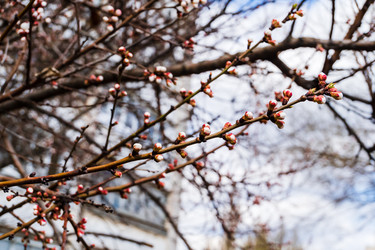 Similar image 22195455