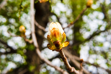 Similar image 22195457