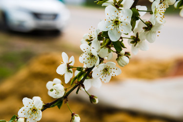 Similar image 22199541