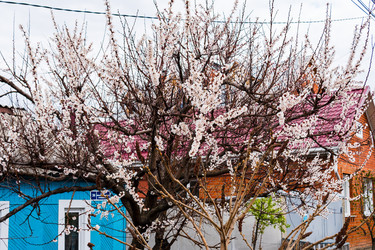 Similar image 22199542