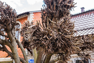 Similar image 22199545