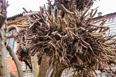 Similar image 22199546