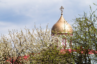 Similar image 22199547