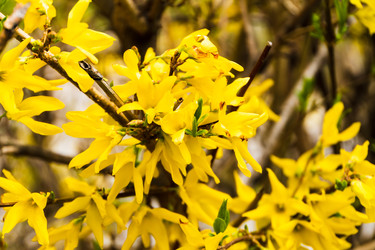 Similar image 22199548