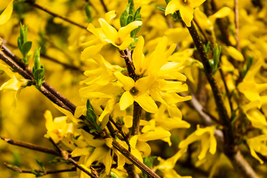 Similar image 22201262