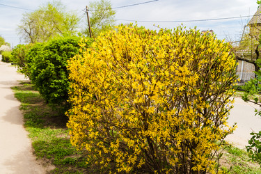 Similar image 22201263