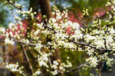 Similar image 22201264