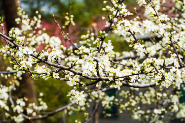 Similar image 22201265