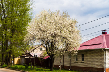 Similar image 22201266