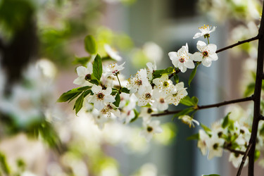 Similar image 22201267