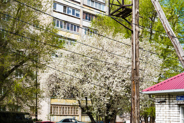 Similar image 22201268