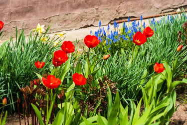 Similar image 22201270