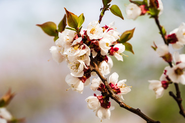 Similar image 22201603