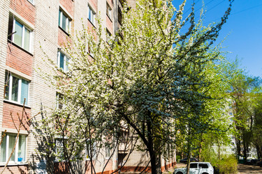 Similar image 22201608