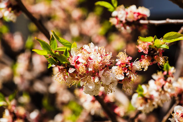 Similar image 22201611