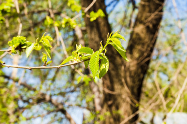 Similar image 22201612