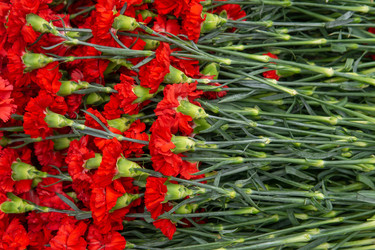 Similar image 22195093