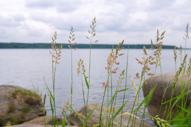 Similar image 22195095