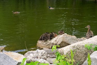 Similar image 22195096