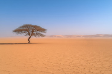 Similar image 22195364