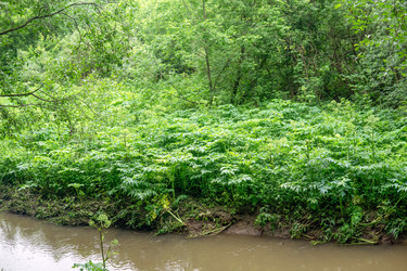 Similar image 22195371