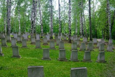 Similar image 22194981