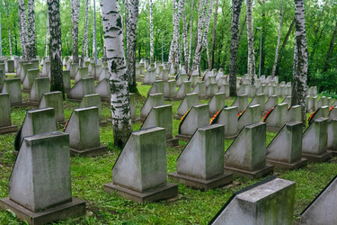 Similar image 22194983