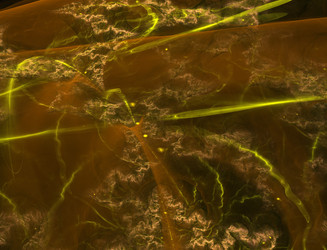 Similar image 22197808