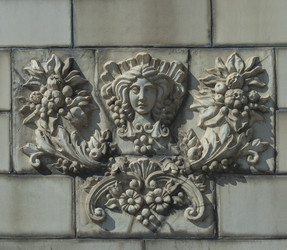 Similar image 22196709