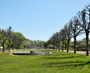 Similar image 22196719