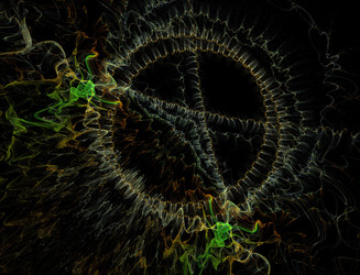 Similar image 22197701