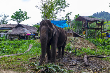 Similar image 22195377