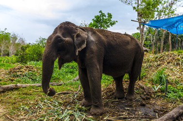 Similar image 22195380