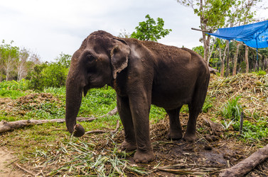 Similar image 22195382