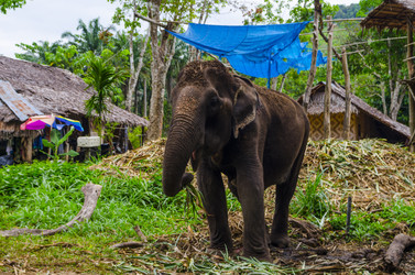 Similar image 22195384