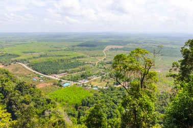 Similar image 22195385