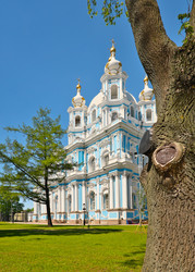 Similar image 22202691