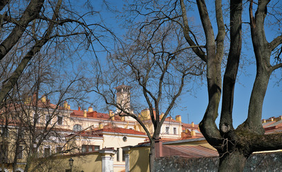 Similar image 22196038