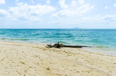 Similar image 22197442