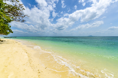 Similar image 22195630